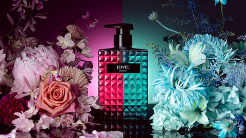 ケアネス JEWEL
