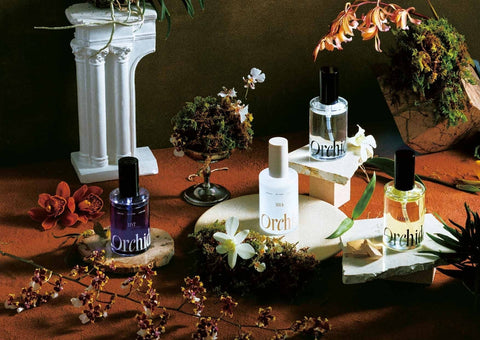 b-ex　メゾンオルキデ